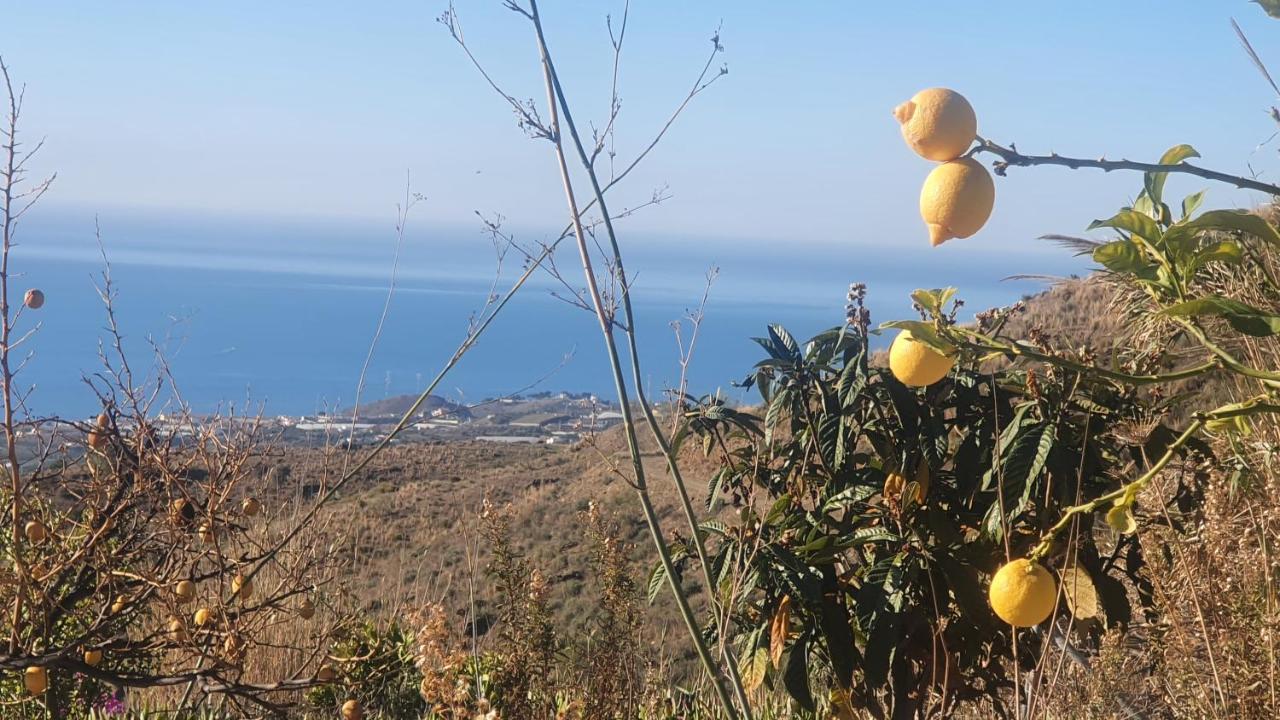 Finca Esperanza Costa Del Sol Sayalonga Zewnętrze zdjęcie